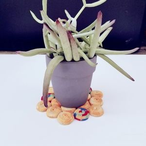 Vintage Crochet Bottle Cap trivet